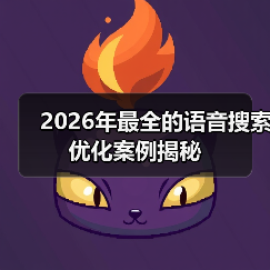 2026年最全的语音搜索优化案例揭秘(图4) 2026年最全的语音搜索优化案例揭秘(图4)