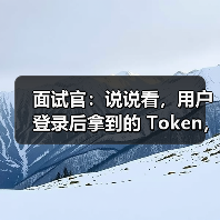面试官：说说看，用户登录后拿到的 Token，你应该怎么存？ - SEO优化技巧与策略