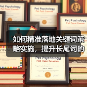 如何精准落地关键词策略实施,提升长尾词的流量转化(图3) 如何精准落地关键词策略实施,提升长尾词的流量转化(图3)