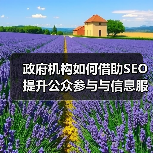 政府机构如何借助SEO提升公众参与与信息服务效率 - 推荐阅读文章
