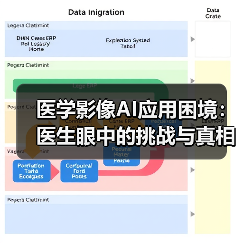 医学影像AI应用困境：医生眼中的挑战与真相（图4）