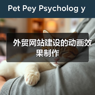 外贸网站建设的动画效果制作(图1) 外贸网站建设的动画效果制作(图1)