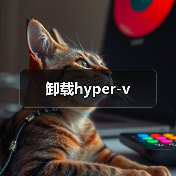 卸载hyper-v（图1）