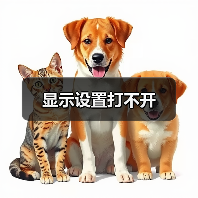 显示设置打不开 - 推荐阅读文章