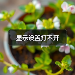 显示设置打不开(图2) 显示设置打不开(图2)