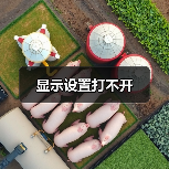 显示设置打不开(图4) 显示设置打不开(图4)