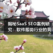 揭秘SaaS SEO案例研究:软件服务行业的黄金攻略(图2) 揭秘SaaS SEO案例研究:软件服务行业的黄金攻略(图2)