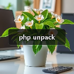 php unpack(图2) php unpack(图2)