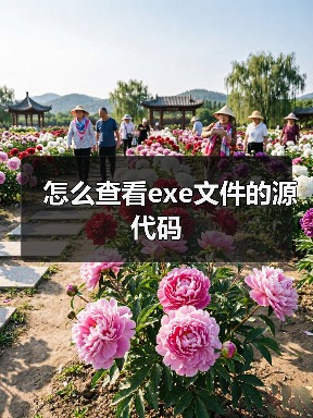 怎么查看exe文件的源代码(图4) 怎么查看exe文件的源代码(图4)