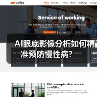 AI眼底影像分析如何精准预防慢性病?(图3) AI眼底影像分析如何精准预防慢性病?(图3)