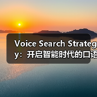 Voice Search Strategy：开启智能时代的口语优化秘籍（图1）