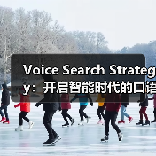 Voice Search Strategy：开启智能时代的口语优化秘籍（图2）