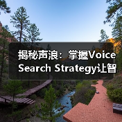 揭秘声浪：掌握Voice Search Strategy让智能助手为你添翼（图4）
