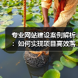 专业网站建设案例解析:如何实现项目高效落地?(图4) 专业网站建设案例解析:如何实现项目高效落地?(图4)