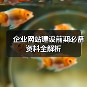 企业网站建设前期必备资料全解析(图2) 企业网站建设前期必备资料全解析(图2)