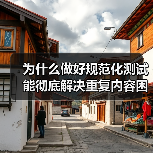 为什么做好规范化测试能彻底解决重复内容困扰？揭秘权威页面背后 - 推荐阅读文章