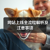 网站上线全流程解析及注意事项(图4) 网站上线全流程解析及注意事项(图4)