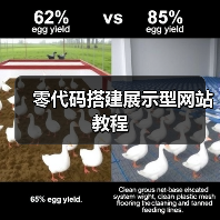 零代码搭建展示型网站教程(图2) 零代码搭建展示型网站教程(图2)