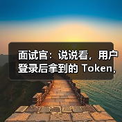 面试官:说说看,用户登录后拿到的 Token,你应该怎么存?存哪里?(图3) 面试官:说说看,用户登录后拿到的 Token,你应该怎么存?存哪里?(图3)