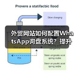 外贸网站如何配置WhatsApp询盘系统?提升沟通效率(图4) 外贸网站如何配置WhatsApp询盘系统?提升沟通效率(图4)