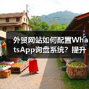 外贸网站如何配置WhatsApp询盘系统?提升沟通效率(图2) 外贸网站如何配置WhatsApp询盘系统?提升沟通效率(图2)