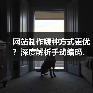 网站制作哪种方式更优?深度解析手动编码、CMS与建站平台的选择(图2) 网站制作哪种方式更优?深度解析手动编码、CMS与建站平台的选择(图2)