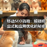 移动SEO咨询:解锁响应式和应用优化的秘密武器(图3) 移动SEO咨询:解锁响应式和应用优化的秘密武器(图3)