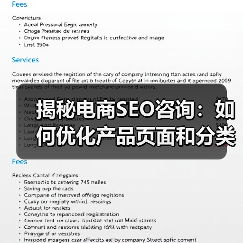 揭秘电商SEO咨询:如何优化产品页面和分类结构实现爆发式增长(图3) 揭秘电商SEO咨询:如何优化产品页面和分类结构实现爆发式增长(图3)