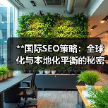 **国际SEO策略:全球化与本地化平衡的秘密武器**(图3) **国际SEO策略:全球化与本地化平衡的秘密武器**(图3)
