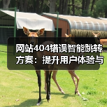 网站404错误智能跳转方案:提升用户体验与SEO的关键(图1) 网站404错误智能跳转方案:提升用户体验与SEO的关键(图1)