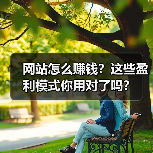 网站怎么赚钱?这些盈利模式你用对了吗?(图1) 网站怎么赚钱?这些盈利模式你用对了吗?(图1)