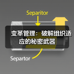 变革管理：破解组织适应的秘密武器（图4）