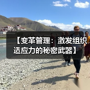 【变革管理：激发组织适应力的秘密武器】（图3）