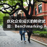 优化企业成长的秘密武器：Benchmarking Analysis 基准分析揭秘（图4）