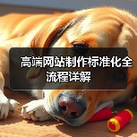 高端网站制作标准化全流程详解(图4) 高端网站制作标准化全流程详解(图4)