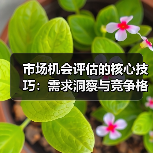 市场机会评估的核心技巧:需求洞察与竞争格局解析(图4) 市场机会评估的核心技巧:需求洞察与竞争格局解析(图4)