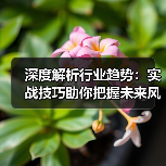 深度解析行业趋势：实战技巧助你把握未来风口