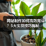 网站制作如何高效完成?5大实战技巧揭秘(图4) 网站制作如何高效完成?5大实战技巧揭秘(图4)