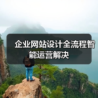 企业网站设计全流程智能运营解决(图4) 企业网站设计全流程智能运营解决(图4)