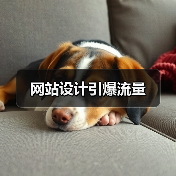 网站设计引爆流量(图4) 网站设计引爆流量(图4)