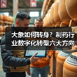 大象如何转身?制药行业数字化转型六大方向(图2) 大象如何转身?制药行业数字化转型六大方向(图2)