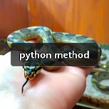 python method(图3) python method(图3)