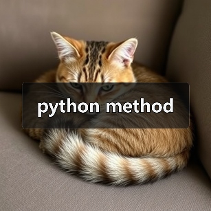 python method
