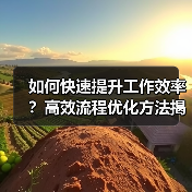 如何快速提升工作效率？高效流程优化方法揭秘