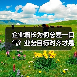 企业增长为何总差一口气?业务目标对齐才是隐形引擎!(图4) 企业增长为何总差一口气?业务目标对齐才是隐形引擎!(图4)