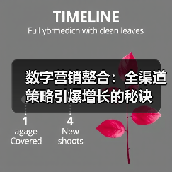 数字营销整合:全渠道策略引爆增长的秘诀(图4) 数字营销整合:全渠道策略引爆增长的秘诀(图4)