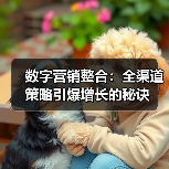 数字营销整合：全渠道策略引爆增长的秘诀