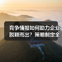 竞争情报如何助力企业脱颖而出？策略制定全解析