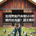 如何用客户声音SEO引爆内容流量？真实案例揭秘