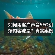 如何用客户声音SEO引爆内容流量?真实案例揭秘(图4) 如何用客户声音SEO引爆内容流量?真实案例揭秘(图4)